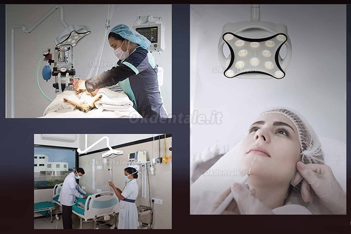 Micare JD1700 LED Lampada scialitica odontoiatrico lampada shadowless da pavimento